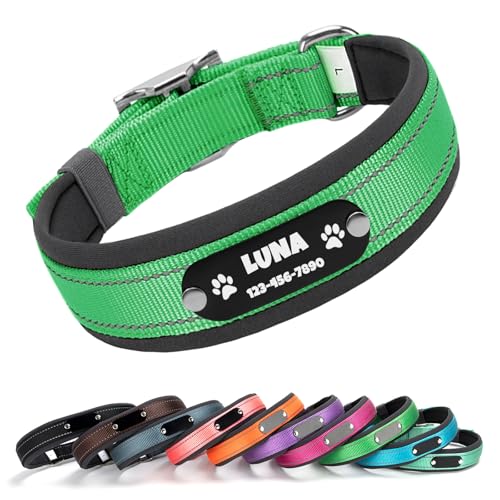 Cusotm Dog Collar with Laser Engraved Name and Phone on Black Metal Tag - Nylon Collar with Reflective Stripe, Neoprene Lining, Metal Buckle D-Ring (Green, S (11-15 Inches)) - color: Green, size: S (11-15 Inches)