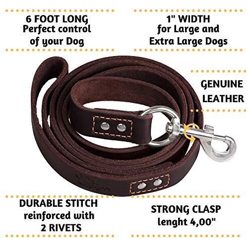 ADITYNA Heavy Duty Leather Dog Leash 6 ft x 1" - Strong, Soft Training Lead for Large & Extra Large Breeds (XL - 6 ft x 1 inch, Brown) - color: Brown, size: XL - 6 ft x 1 inch