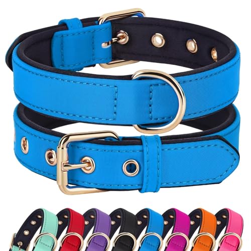 Didog Soft Padded Dog Collars for Small Dogs, Lightweight and Breathable Dog Collar with Metal Buckle for Puppy, Blue, S - color: Blue, size: S: Fit 9-12" Neck
