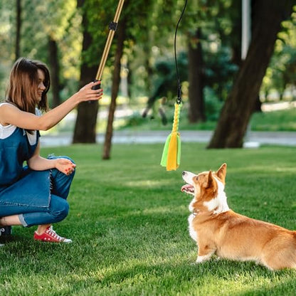 Flirt Pole for Dogs, Interactive Dog Toys Extendable Teaser Wand with Lure Chewing Toys, Chase and Tug of War for Small Medium Large Dogs Training Playing Exercise - size: 40.5Inch Pole-Gold
