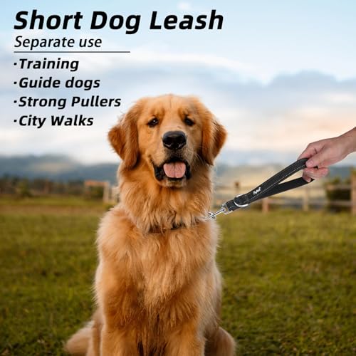 PUPTECK Chew Proof Dog Leash with Detachable Short Leashes Padded Handle Reflective, Heavy Duty Steel Cable Lead for Small Medium Large Dogs Training Walking, Black 4.9ft - color: Black