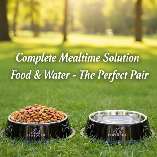 Stainless Steel Dog Bowl Pack of 2, Food & Water Bowl for Dogs, Durable Dog Feeding Bowl, Bowls for Small Dogs, Easy to Clean, Anti-Skid Pet Bowl - 16 oz (Black) - color: Black