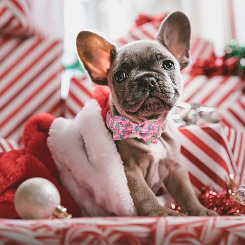 Christmas Dog Collar with Bow Tie - Cute Christmas Tree & Santa Pattern Pink Puppy Collar, Adjustable Metal Buckle Winter Holiday Bowtie Dog Collars for Small Medium Large Dogs XS - color: B-Pink Santa Claus, size: XS