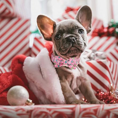 Christmas Dog Collar with Bow Tie - Cute Christmas Tree & Santa Pattern Pink Puppy Collar, Adjustable Metal Buckle Winter Holiday Bowtie Dog Collars for Small Medium Large Dogs XS - color: B-Pink Santa Claus, size: XS