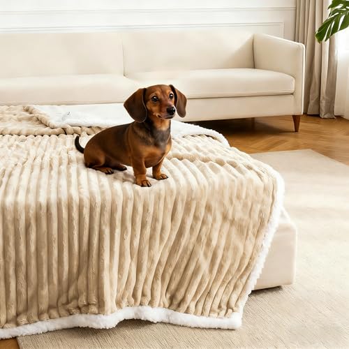 Waterproof Dog Blanket Soft Pet Cat Blanket Cozy Calming Sherpa Corduroy Fleece Blanket Reversible Furniture Bed Protector for Small Dogs Machine Washable Puppy Blanket, Brown 30x40 in - color: Brown, size: M/30"x40"
