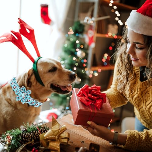 Dog Collar, Christmas Blue Pet Collar with Flower Holiday Girl Boy Puppy Collar Adjustable for X-Small Dogs - color: Dog, size: X-Small (Pack of 1)