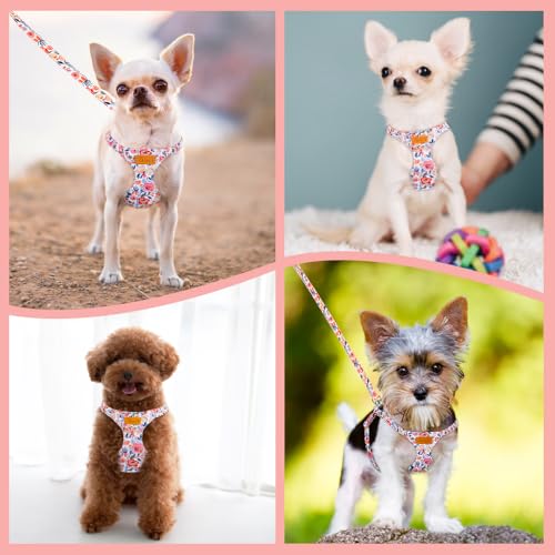 Lukovee Puppy Harness and Leash Set, No Pull Lightweight Soft Suede Adjustable Pet Harness Vest with Snap Buckle for Puppy Small and Medium Size Dog (Flower-XXS) - color: Flower, size: XX-Small ( 2.2-6lb )