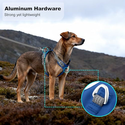 No Pull Dog Harness – Adjustable Reflective Nylon Vest for Small Medium Large Dogs, Escape Proof Training Harness with Leather Control Handle, Lightweight Aluminum Hardware (Royal Blue, L) - color: Royal Blue, size: L