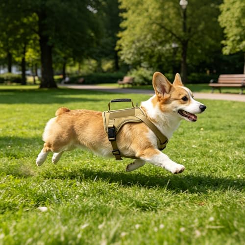 AIITLE Small Dog Harness No Pull, Reflective Adjustable Vest with Handle, No Choke Design, Dual Metal Leash Clips for Walking Training Running Camping, Small Medium Breeds - Khaki XS - color: Khaki, size: XS
