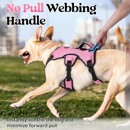rabbitgoo Escape Proof Dog Harness Medium, Soft Padded Full Body Pet Harness, Reflective Adjustable No Pull Vest with Lift Handle and Leash Clip for Walking Hiking Training, Light Pink, M - color: Light Pink, size: Medium (Pack of 1)