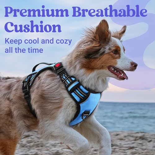 rabbitgoo Dog Harness Medium Sized, No Pull Pet Harness with Soft Padded Handle, Adjustable Reflective Vest with 3 Buckles, Easy Walking Harness with 2 Leash Clips, Light Blue, M - color: Light Blue, size: Medium