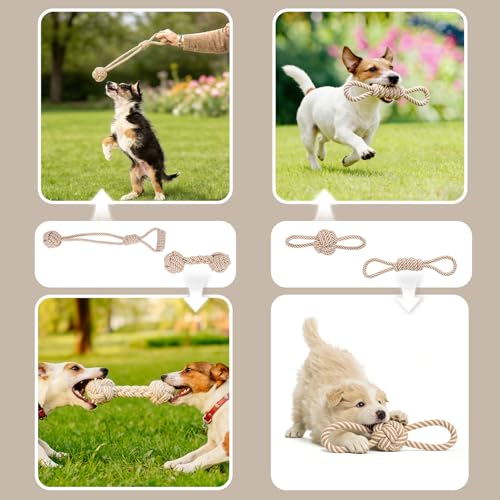 Dog Rope Toy for Small Dog 5pcs, Natural Chew Toys for Puppy, Medium & Small Dogs, Tug of War Rope for Puppies Clean & Relieve Teething - size: 5pcs