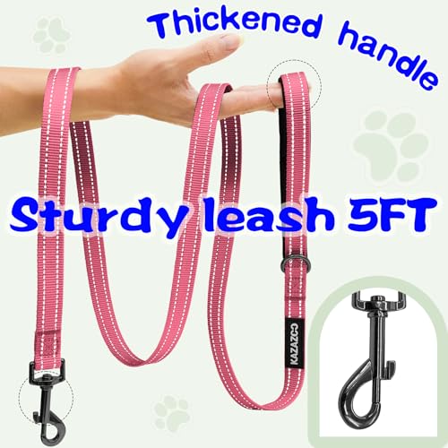 Kazazoo No Pull Small Dog Harness and Leash Set, Adjustable Puppy Soft Vest Harness with Breathable Mesh Padded, Reflective Lightweight Harness with Buckle for Extra Small Medium Dogs, Pink S - color: Purple&Pink, size: S