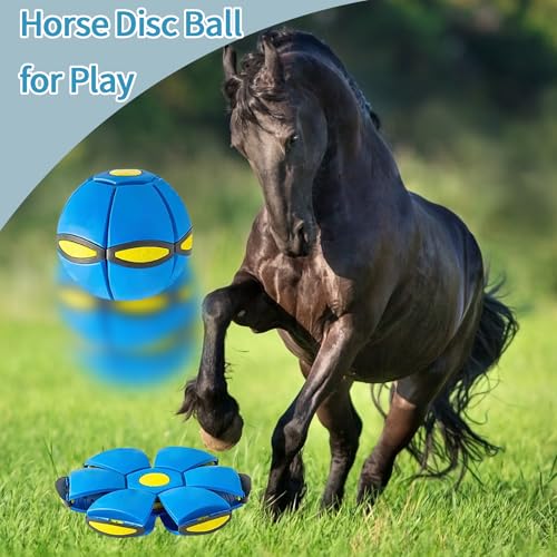 2PCS Magic Bouncing Ball, Magic Meta - Ball, Children's Magic Bouncing Balls, Doggy Disc Ball, Flying Saucer Ball, Parent-Child Interaction with Lights for Indoor & Outdoor Play Green and Blue