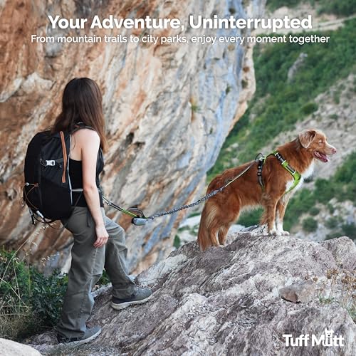 Tuff Mutt Hands Free Dog Leash for Walking Running Hiking, Waist Leash with Bungee, Adjustable Belt, Reflective Double Handle Design for Large Medium Dogs - color: gray/orange