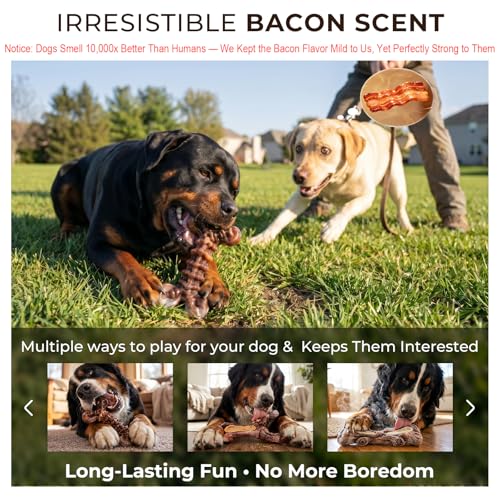 Kseroo 3-Pack Indestructible Dog Chew Toys for Aggressive Chewers: Bacon Flavored Rock-Hard Solid Nylon, Tough Dog Bones for Medium/Large Dogs 25-90lbs, Heavy Duty Dog Toys to Keep Them Busy, Brown-XL - color: 3PC-Bacon-Brown