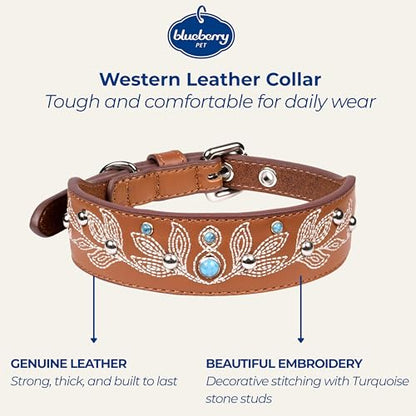 Blueberry Pet Western Dog Collar in Canyon Brown - 12-15 Inch Necks Floral-Embroidered Leather with Turquoise Studs, Adjustable - color: Canyon Brown, size: Small