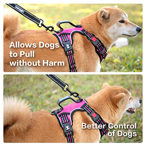 PoyPet No Pull Dog Harness, No Choke Front Clip Reflective Dog Vest with Soft Padded Vertical Handle, 3 Leash Attachments for Small Medium Large Dogs (Pink,XL) - color: Pink, size: Extra Large