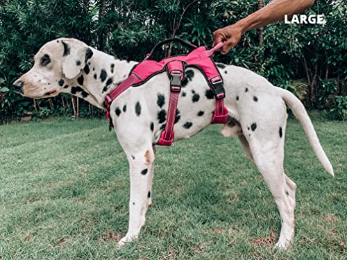 Tuff Pupper Escape Proof No Escape Dog Harness | 5 Point Adjustable Fit Harness for Dogs | Padded Dog Harnesses | Handle Dog Lift Harnesses - color: Hot Pink, size: Large