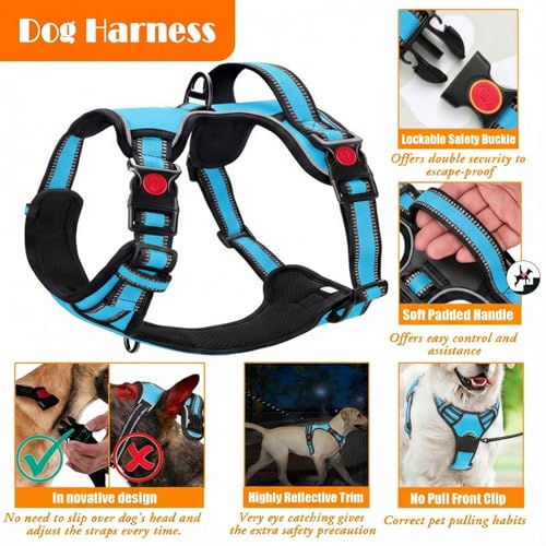 LOBEVE No Pull Dog Harness, Collar & Leash Set with Retractable Dog Seat Belt, Collapsible Dog Bowls and Poop Bag Dispenser - Ideal for Training, Walking, Hiking - Fits Small to Large Dogs(Blue-M) - color: Blue, size: Medium