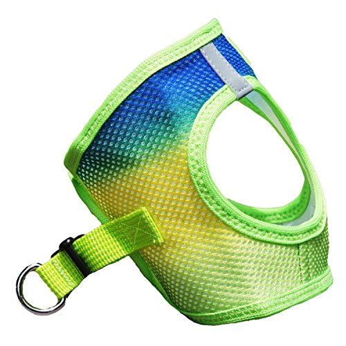 DOGGIE DESIGN American River Dog Harness Ombre Collection - Cobalt Sport XS - color: Colbalt Sport, size: X-Small