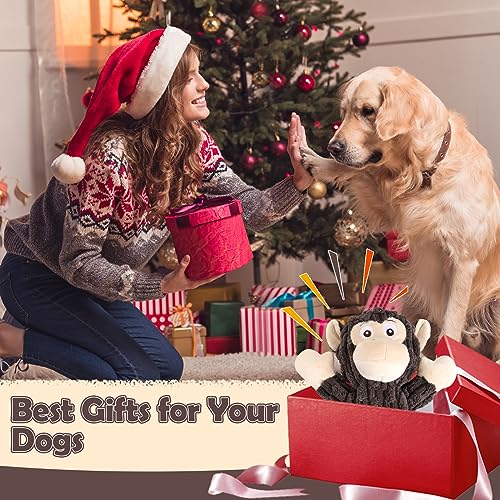 Letsmeet Plush Dog Toy with Crinkle Paper, Tug of War Pull Interactive Toys for Puppies to Large Dogs - style: Monkey