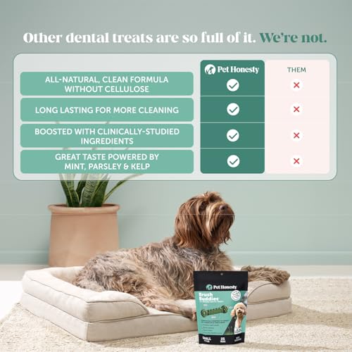 Pet Honesty Brush Buddies All Natural Dog Dental Treats for Dogs – Long Lasting Dental Sticks for Dogs, Teeth Cleaner, Breath Freshener, Plaque & Tartar Remover – Small Dogs (25 Count) - size: Small Dog - 25 Count