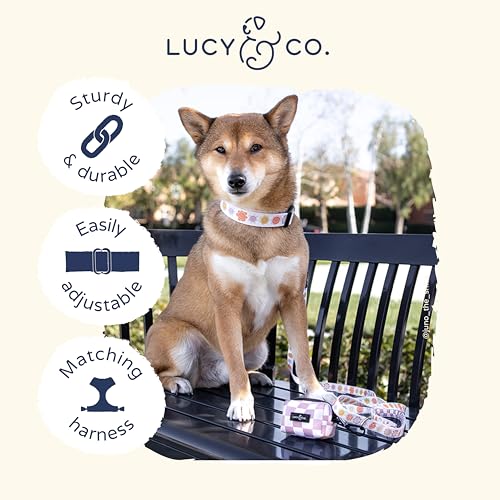 Lucy & Co. Ballet Bows Dog Collar - Durable Lightweight Designer Collar for Pets - Adjustable Metal Safety Buckle - White & Pink Bows - Small - color: Ballet Bows Dog Collar, size: Small