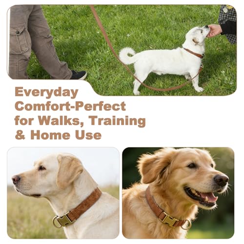 Genuine Leather Dog Collar - Adjustable Pet Collar with Quick Release Metal Buckle, Soft Skin Friendly Real Leather Collar for Small, Medium, Large Dogs (Brown Collar + Rope, M：Fit 12-20" Neck) - color: Brown Collar + Rope, size: M：Fit 12-20" Neck