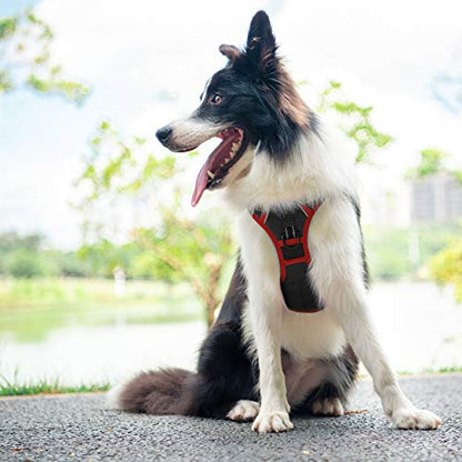 PHOEPET 2019 Upgraded No Pull Dog Harness, Reflective Adjustable Vest, with a Training Handle + 2 Metal Leash Hooks+ 3 Snap Buckles +4 Slide Buckles(XS, Black) - color: Black, size: Extra Small