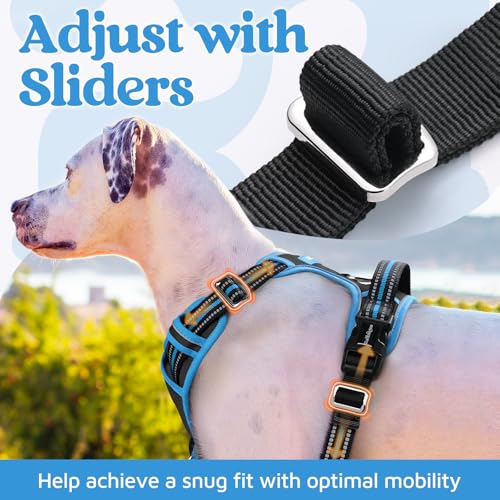 rabbitgoo Dog Harness Small Sized, No Pull Dog Vest with 3 Buckles, Adjustable Soft Padded Pet Harness with Easy Control Handle and Reflective Strips, Black & Sky Blue, S - color: Black & Sky Blue, size: Small