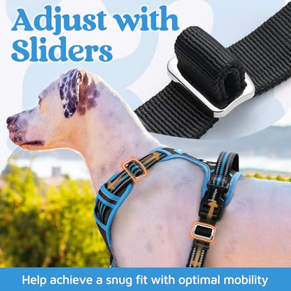 rabbitgoo Dog Harness Small Sized, No Pull Dog Vest with 3 Buckles, Adjustable Soft Padded Pet Harness with Easy Control Handle and Reflective Strips, Black & Sky Blue, S - color: Black & Sky Blue, size: Small