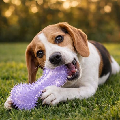 Squeaky Spiky Dog Bone Toy for Teeth Cleaning & Gum Massage 4.4 Inch Small Medium Dogs Purple | Spiny TPR Rubber Chew Toy for Fetch Play Interactive Bouncy Dental Bone Durable BPA Free Nontoxic Floats - size: Purple, Bone 1-Pack