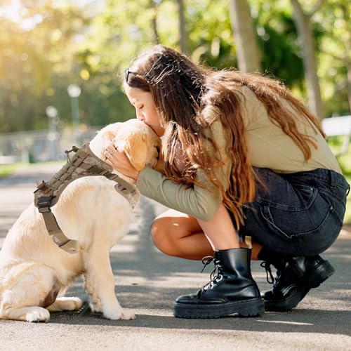 Dog Harness, Mesh Design Dog Harness, Breathable No Pull Dog Vest, for Hiking, for Small Medium Large Dogs, Camouflage, Medium