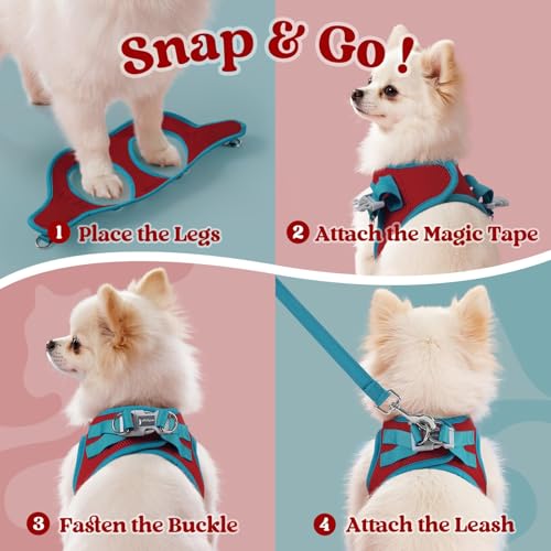 rabbitgoo Dog Harness Small Sized and Leash Set, Step-in Breathable Pet Harness, Soft Walking Reflective Puppy Vest for Small Dogs, Red & Teal, XXS - color: Red & Teal, size: XXS (Chest: 12.4 - 14.2")