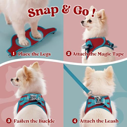 rabbitgoo Dog Harness Small Sized and Leash Set, Step-in Breathable Pet Harness, Soft Walking Reflective Puppy Vest for Small Dogs, Red & Teal, XS - color: Red & Teal, size: XS (Chest: 13.3 - 15.5")