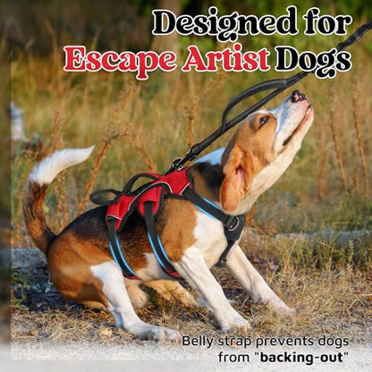 rabbitgoo Escape Proof Dog Harness, Soft Padded Full Body Pet Harness, Reflective Adjustable No Pull Vest with Lift Handle and Leash Clip for Large Dogs Walking Hiking Training, S, Red - color: Red, size: Small (Pack of 1)