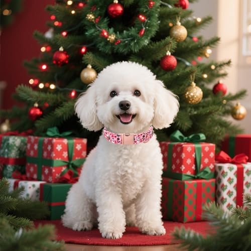 Lionet Paws Chirstmas Dog Collar, Cute Snowman Christmas Tree Dog Collars with Metal Buckle for Puppies and Cats, XS, Ho Pink Dogs Collar Neck 8-12 inches - color: Ho Xmas, size: X-Small (Pack of 1)