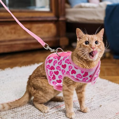 TOYANDONA Pet Mesh Dog Harness Vest Breathable Adjustable Strap Summer Outdoor Cool Harness for Small Dogs S Size with Leash Attachment