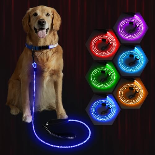 1 Pack LED Dog Leash USB Rechargeable Colorful 5ft Glow-in-Dark Safety Leash with Steel Cable & Quick Clip for Small Medium Large Dogs (Colorful, 5 feet)