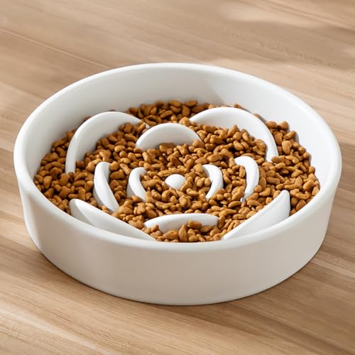 8.25'' Ceramic Slow Feeder Dog Bowls - Petal Shape Modern Dog Food Dish for Medium and Large Breeds, Puzzle Maze Bowl to Slow Down Eating, Anti-Gulping, Dishwasher & Microwave Safe, White - color: White, size: 8.25 inch