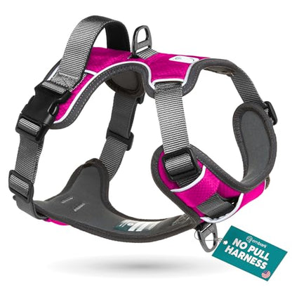 Embark Adventure Dog Harness for Small, Medium & Large Dogs – No Pull, Reflective Trim, Military Grade Nylon, 2 Leash Clips, Gel-Lined Handle, Soft Padded - color: Pink, size: XS
