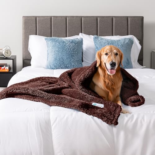 PETAMI Fluffy Fleece CAT and Dog Throw Blanket, Brown, Large - color: Brown, size: Large (40x60)