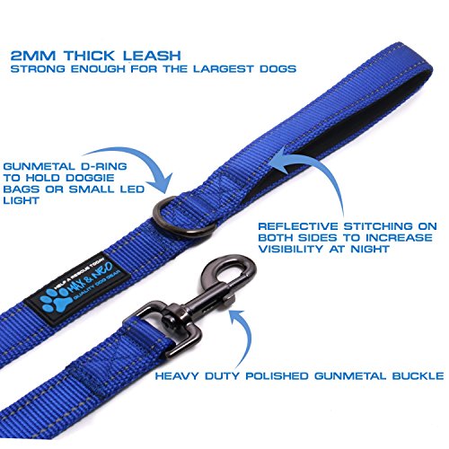 Max and Neo Reflective Nylon Dog Leash - 4 FT x 1 Inch Wide, Blue - color: BLUE, size: 4 FT x 1" Wide