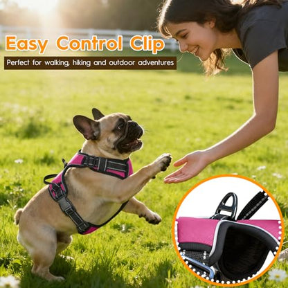 No Pull Dog Harness, No Chock Reflective Adjustable Soft Padded Pet Vest with Easy Control Handle, Easy Wearing with Stylish, Reinforced Knot, 2 Buckles - color: Hot Pink, size: X-Small