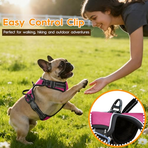 No Pull Dog Harness, No Chock Reflective Adjustable Soft Padded Pet Vest with Easy Control Handle, Easy Wearing with Stylish, Reinforced Knot, 2 Buckles - color: Hot Pink, size: X-Small