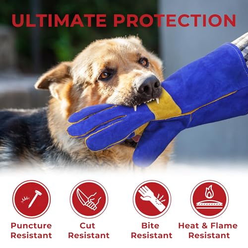 HANDLANDY Animal Handling Gloves, Bite-Proof, Scratch-Resistant, Pet Gloves for Dogs, Cats, Falconry, Gardening - color: Blue, size: 14 Inches