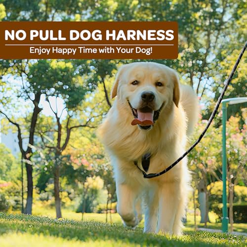 Plaid Dog Harness for Large Dogs, Reflective No Pull Adjustable Pet Vest with Front Clip, Leash, Easy Control Handle and Seat Belt, Beige&White, L - color: Beige & White, size: Large