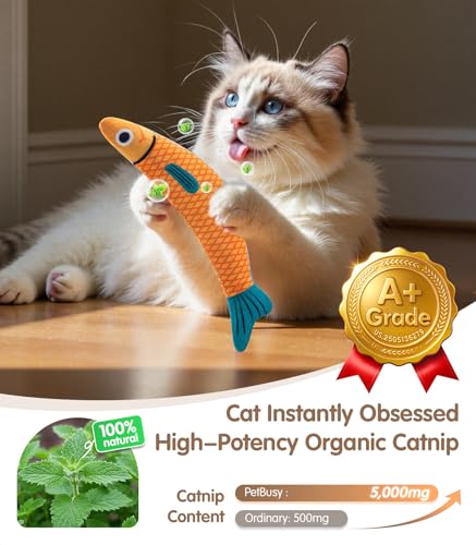 PetBusy Cat Toys with[5000mg A+Natural Catnip &Silvervine] [Baby Grade] Interactive Soft Chew Kicker Cat Toys for Indoor Cats & Kittens, [Crinkle &Bell] Fish Sound Toy, Drives Bored Cat Crazy with Fun - color: Red+Green+Yellow