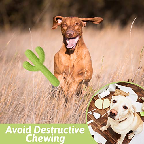 MewaJump Dog Chew Toys, Durable Rubber Dog Toys for Aggressive Chewers, Cactus Tough Toys for Training and Cleaning Teeth, Interactive Dog Toys for Medium/Large Dog - color: Green Cactus